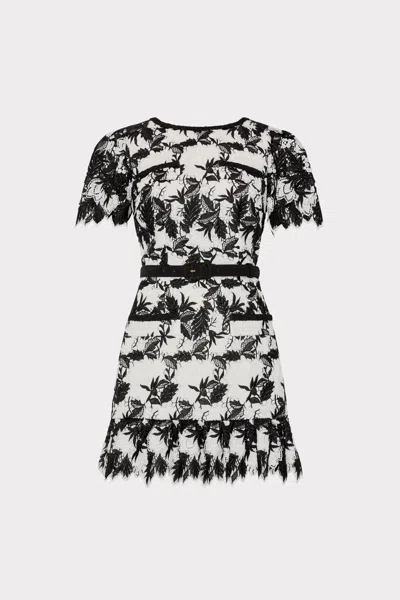 Milly Paola Two Tone Lace Mini Dress Short Sleeve Top In Black
