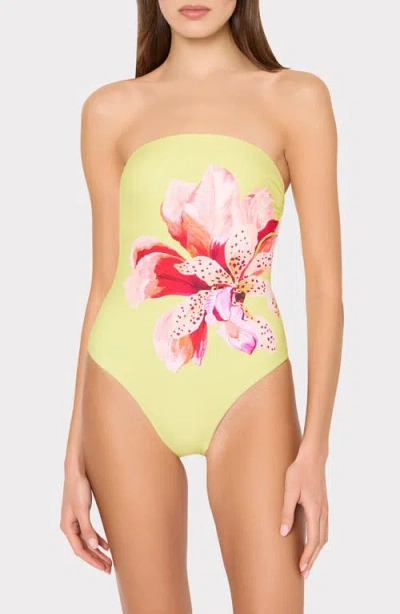 Milly Songe D'iris Placement Print One-piece Swimsuit In Multi