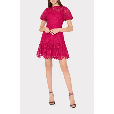 Milly Yasmin Rose Mosaic Lace Dress In Pink