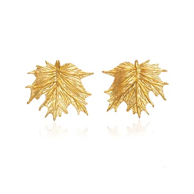 Milou Jewelry Women's Gold Maple Leaf Earrings