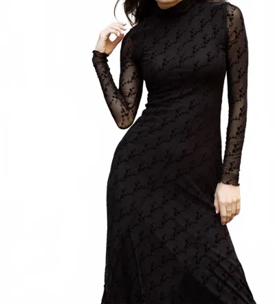 Mima Rosso Velvet Print Mesh Dress In Black