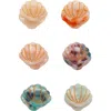 Mimi & Lula Kids' 6-pack Shell Mini Claw Hair Clips In Pink
