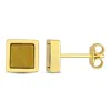 Mimi & Max 1ct Tgw Tiger Eye Square Stud Earrings In Yellow Silver In Gold