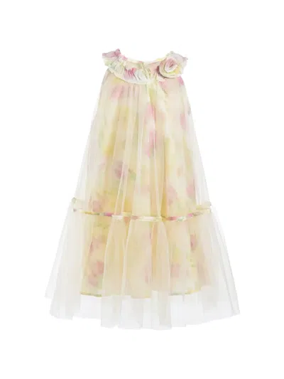 Mimi Tutu Kids' Floral-print Tulle Dress In Multi