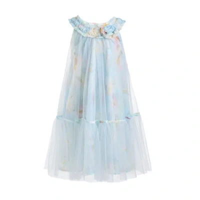 Mimi Tutu Kids' Floral-print Tulle Dress In Blue