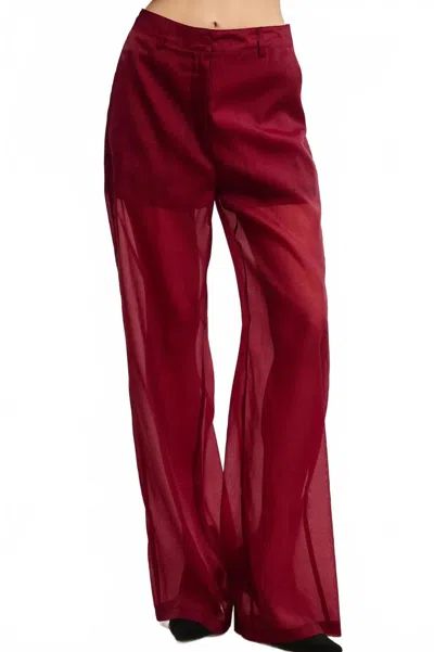 Mimosa Bethany Sheer Organza Pants In Burgundy In White