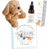 Mindful & Co Kids Buddies Bedtime Bundle In Gold