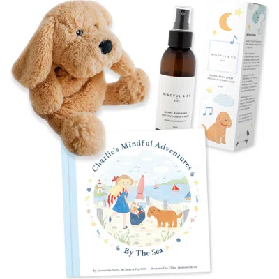 Mindful & Co Kids Buddies Bedtime Bundle In Gold