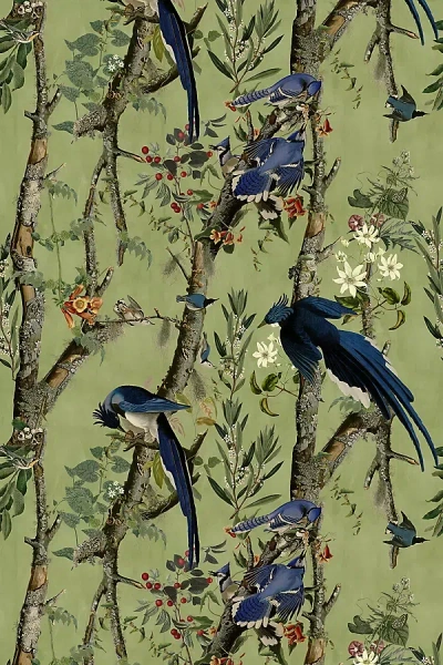 Mindthegap Birds Of Danube Bird Wallpaper