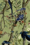 Mindthegap Birds Of Danube Nature Wallpaper In Green
