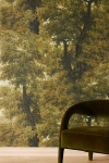 Mindthegap Branchy Autumn Wallpaper