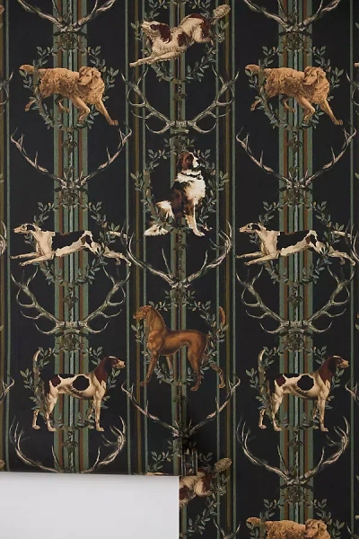 Mindthegap Mountain Dogs Dog Peat Wallpaper