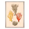 Mindthegap Neutrals Deliciae Naturae Two Framed Art In Multi