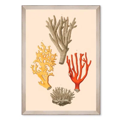 Mindthegap Neutrals Deliciae Naturae Two Framed Art In Multi