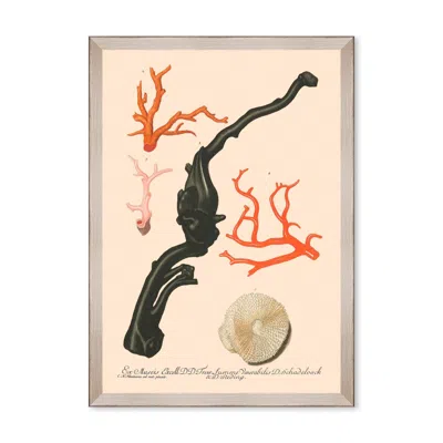 Mindthegap Neutrals Deliciae Naturale Four Framed Art In Multi