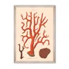Mindthegap Neutrals Deliciae Naturale Nine Framed Art In Multi