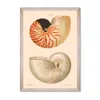 Mindthegap Neutrals Deliciae Naturale Six Framed Art In Multi