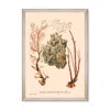 Mindthegap Neutrals Deliciae Naturale Three Framed Art In Multi