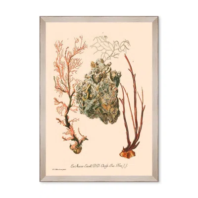 Mindthegap Neutrals Deliciae Naturale Three Framed Art In Multi