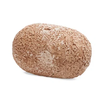 Mindware Dig It Up! - Dinosaur Eggs S.t.e.m. Game