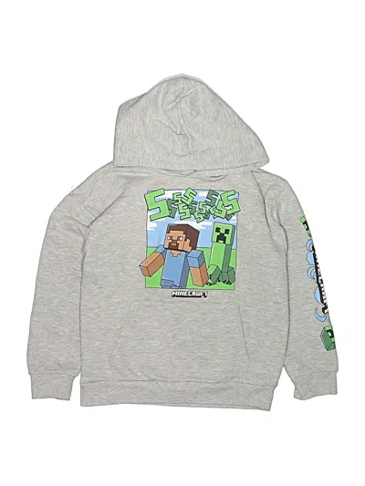 Pre-owned Minecraft Kids' Pullover Hoodie In Silver