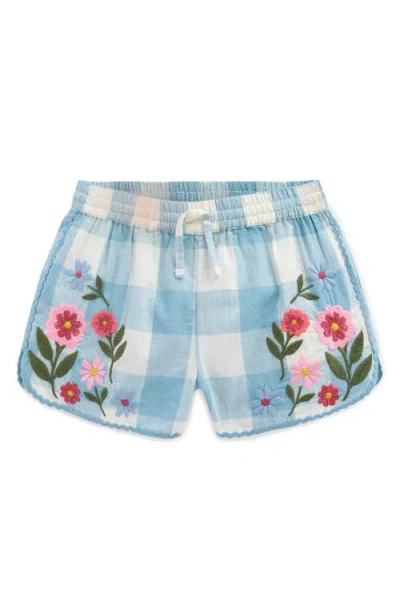 Mini Boden Kids' Embroidered Cotton Shorts In Multi