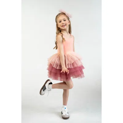 Mini Celebrities Kids'  Bloom Sleeveless Fluffy Tutu Dress In Pink