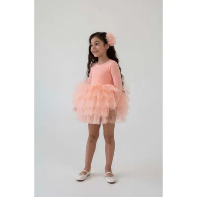 Mini Celebrities Kids'  Blossom Long Sleeve Fluffy Tutu Dress In Pink