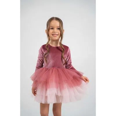 Mini Celebrities Kids'  Luna Long Sleeve Velvet Tutu Dress In Pink