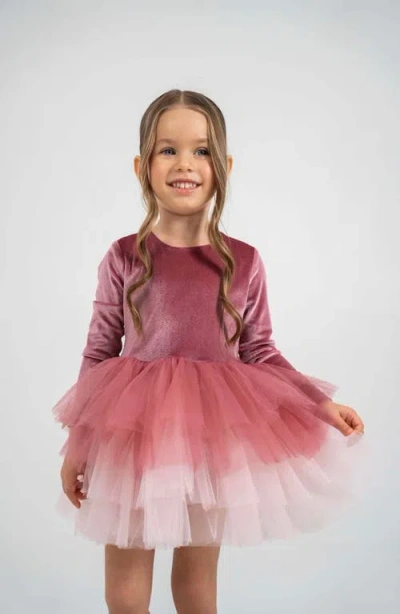 Mini Celebrities Babies'  Luna Long Sleeve Velvet Tutu Dress In Pink