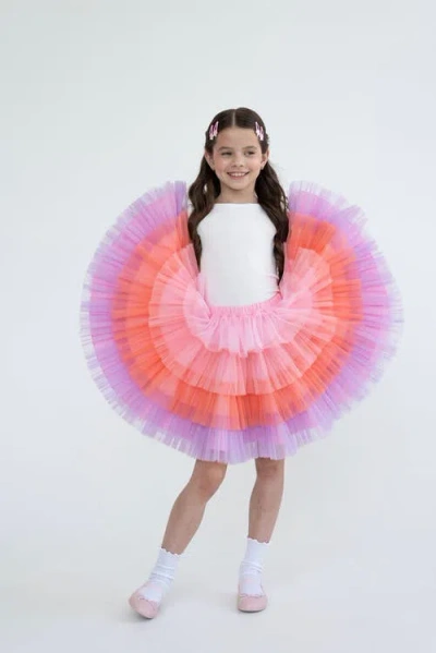 Mini Celebrities Babies'  Ombre Tutu Skirt In Multi