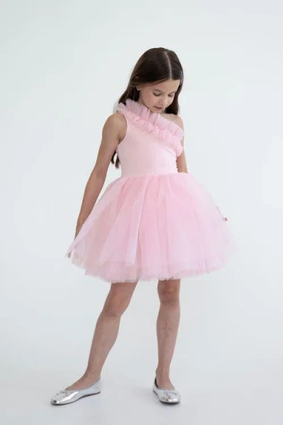 Mini Celebrities Babies'  Pinky One Shoulder Ruffle Tulle Dress In Multi