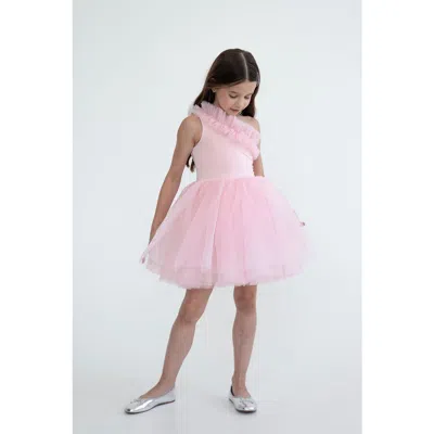 Mini Celebrities Kids'  Pinky One Shoulder Ruffle Tulle Dress In Multi