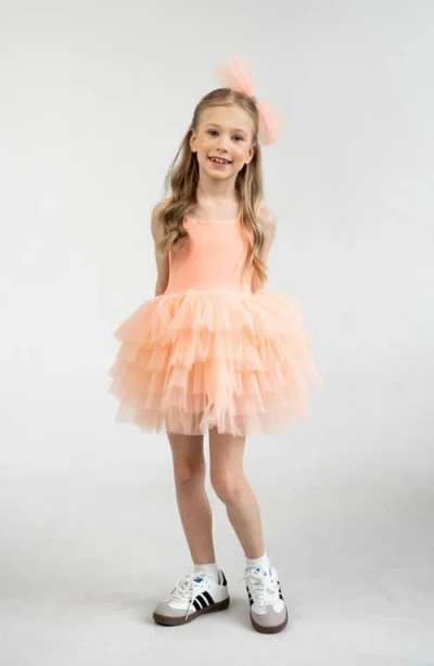 Mini Celebrities Kids'  Sunset Sleeveless Fluffy Tutu Dress In Pink