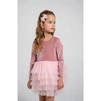 Mini Celebrities Babies'  Velora Long Sleeve Velvet Tutu Dress In Pink