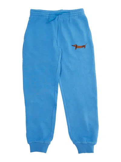 Mini Rodini Embroidered Cotton Joggers In Blue
