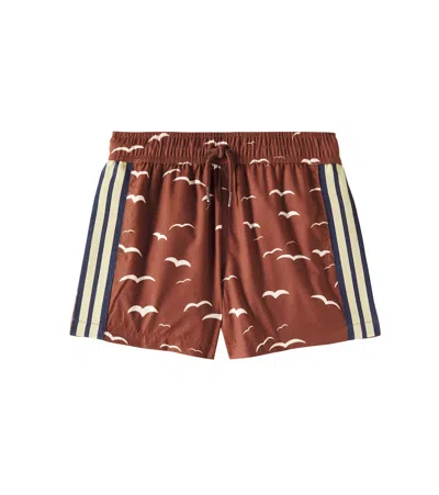 Mini Rodini Kids' Seagull Swim Trunks In Brown
