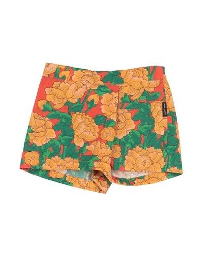 Mini Rodini Babies'  Toddler Girl Shorts & Bermuda Shorts Orange Size 7 Organic Cotton