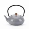 Minimal Enameled Cast Iron Teapot - Classic