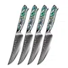 Minimal Trans-shell Damascus Steak Knife Set Of 4