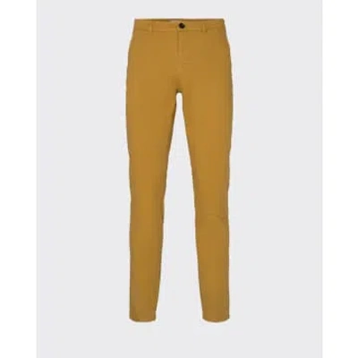Minimum Dried Tobacco Darvis Chino Trousers In Brown