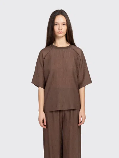 Minimum Kaia Short Sleeve Blouse In Brown