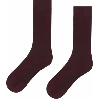 Ministry Of Supply Atlas Crew Sock In Burgundy