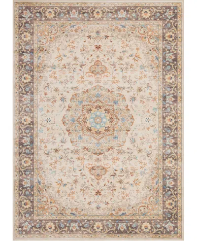 Mink Home Homewell Machine Washable Ham4002 7'10"x9'10" Area Rug In Brown