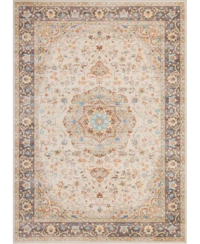 Mink Home Homewell Machine Washable Ham4002 9'10"x13'11" Area Rug In Brown