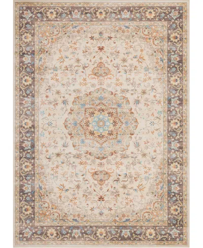 Mink Home Homewell Machine Washable Ham4002 9'x12' Area Rug In Brown