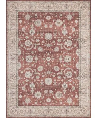 Mink Home Homewell Machine Washable Ham4008 Rug Collection In Brown