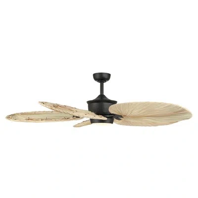 Minka Aire Portesa 60" 5cct Led Smart Ceiling Fan In Black
