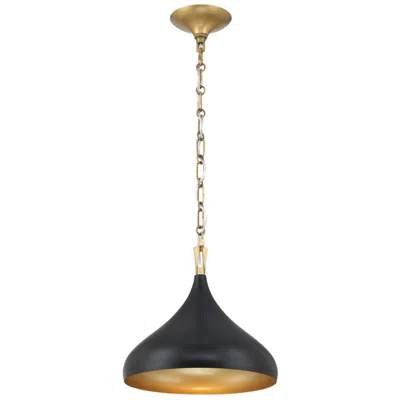 Minka Lavery Cedar Lane 1-light 12.75-in Brass And Black Pendant Lighting
