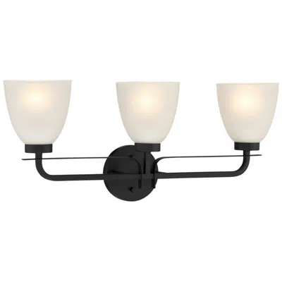 Minka Lavery Kaitlen 24 1/4" Wide Coal 3-light Bath Light